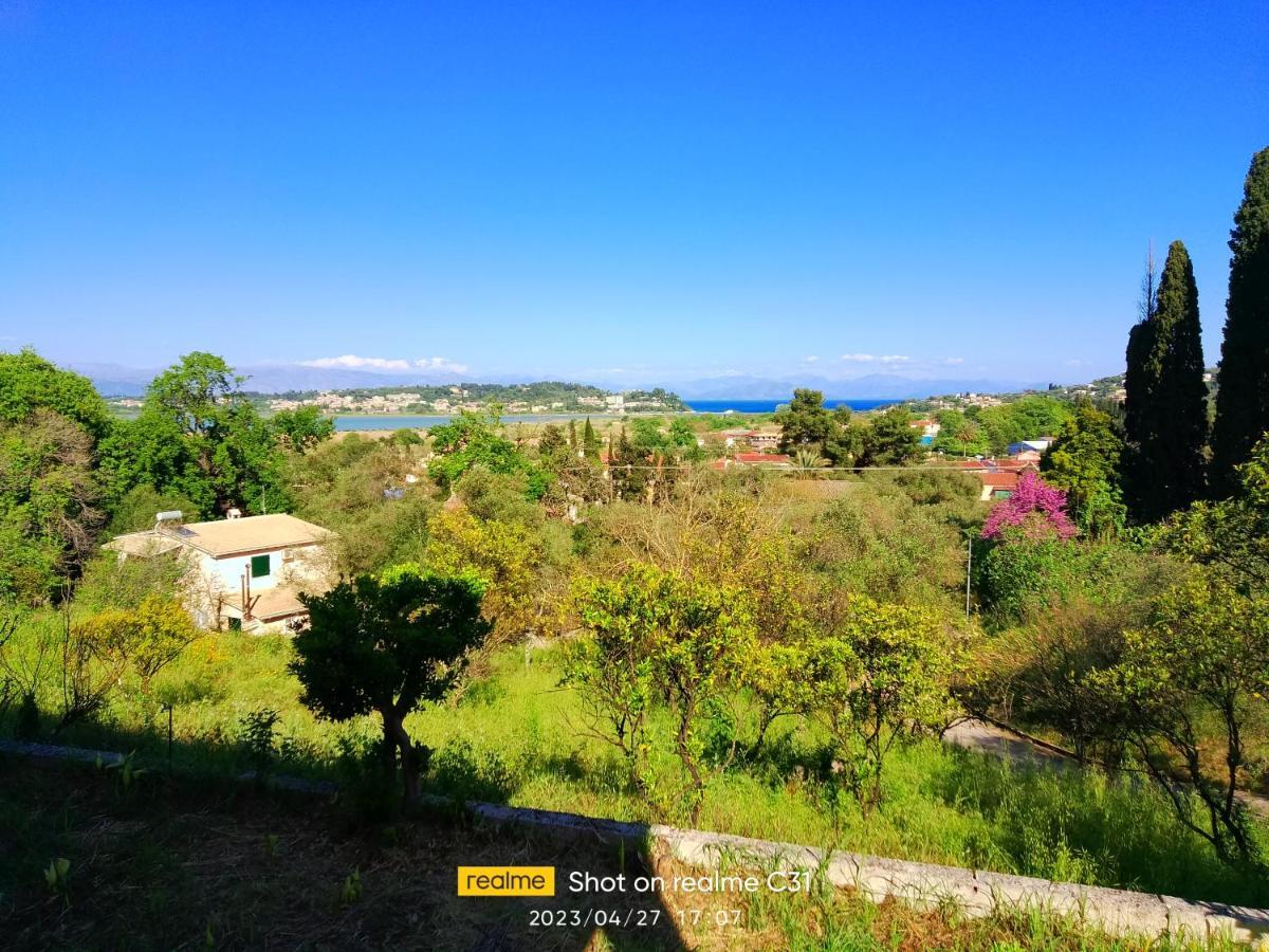 Corfu-aris Viros
